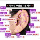 월드피어싱 이미지