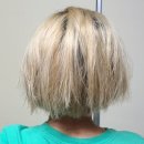 핑크 pet 살롱 | 로픈 손상모트리트먼트 대용량이라 넉넉히 사용 중