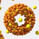 알파안경 | 알파cd60정 후기 2개월 복용 솔직 생각 | 회식 잦은 직장인 체중 변화