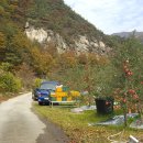 천수농원 이미지