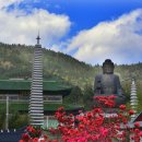 남미륵사 이미지