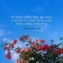 [CTS 말씀이미지] 요한복음 12장 25절 #말씀이미지 #감경철 #CTS #핸드폰배경화면 이미지