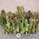 민조경 이미지