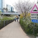 동안교 앞 네이버블로그
