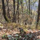 푸른쉼터 표지석 이미지