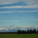 <제 14편> 캔터베리 대평원(The Canterbury Plains) 을 달리다 이미지