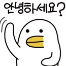 들국화실비집 이미지