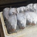 남매수산 이미지