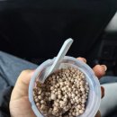 근배 | [월간일기] 2026년 1월 일상 모음