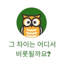 올바른피앤에스 네이버블로그
