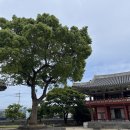 나무이야기 이미지