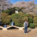 강남정공원 네이버블로그