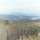 월리농장 이미지