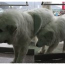 카페금산