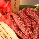 레오나르독 이미지