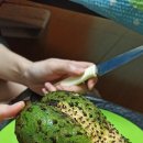 과일왔네