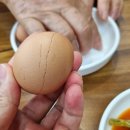 황가냉면 티스토리