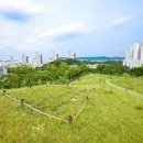 한솔동 아침뜰 축구장 | '세종 가볼 만한 곳' 세종 한솔동 백제고분 역사공원, 국가 사적 지정될 만큼 역사적 가치 있는 곳