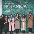 보태니카 이미지