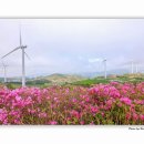 덕진목장 이미지