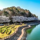 선진공원 주차장 이미지