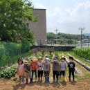 미호유치원 이미지