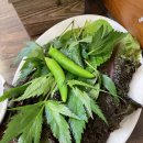 장원갈비 이미지