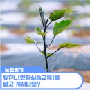 산수유 양돈 교육농장 | 귀농 준비에 필요한 WPL(현장실습교육)을 알고 계시나요?