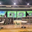 수영스크린골프 이미지