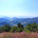 봉도농장 이미지