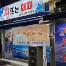 회뜨는돼지