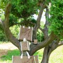 화엄사로 이미지