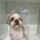 경상감영길 이미지