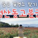 숨은꽃 이미지