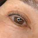 눈썹정원사 이미지