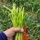 대호농장 이미지