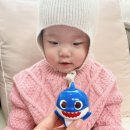 슈슈앤크라 로고