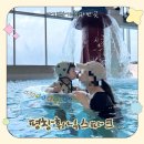 23개월 아기 평창휘닉스파크 블루캐니언 후기｜강원도가족여행 워터파크 추천 준비물 팁