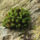 문경새재길 이미지