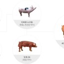 피그 네이버블로그
