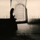 Bodil Frendberg / Metamorphic 이미지