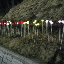 미숭산자연휴양림 이미지