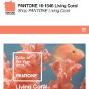 Color of the Year 2020 - PANTONE 이미지