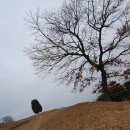 (계양산)야외공연장, 연무정 | 계양산, 황량한 겨울산 산책 [1/18]