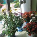 금성여자상업고 이미지