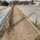 내기 삼거리 이미지