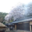 남반고택 이미지