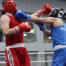 월곶 복싱체육관 이미지