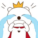 도미디피트니스 이미지