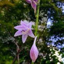 2019-주108 이미지